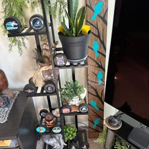 Birds of a Feather - Home or Garden Decor