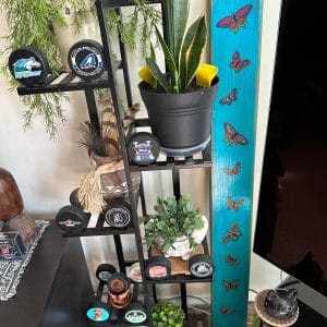 Butterflies - Home or Garden Decor